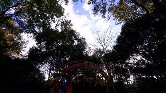 杭州西湖植物园花草建筑树林4K实拍视频