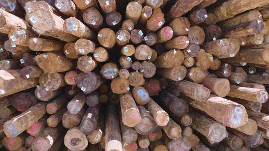 堆放整齐的木材素材