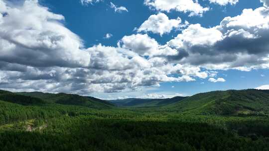 大兴安岭绿色森林蓝色天空白云朵朵