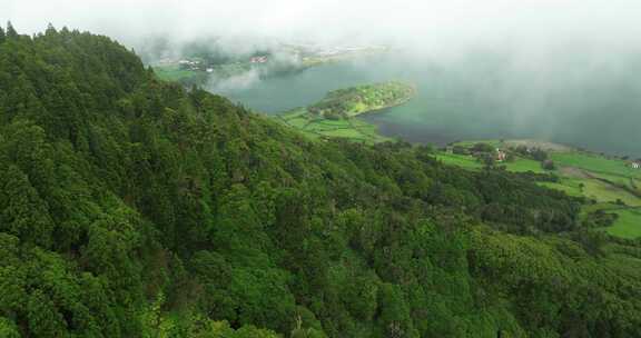 树，山，村庄，湖