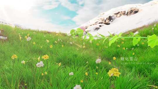 原创4k植物生长开花环保logo演绎片头