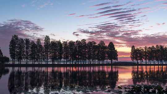 【延时】东湖听涛景区-日出02