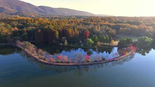 南京秋天 前湖公园 秋天 植物博物馆