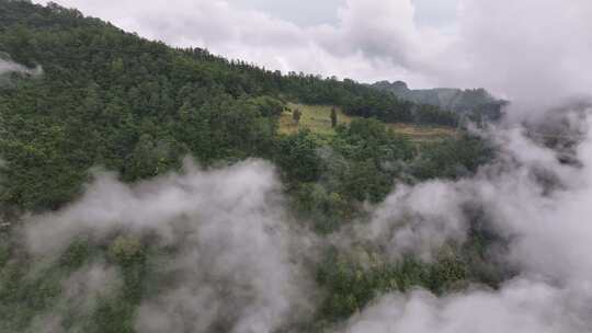 茨竹坝云海航拍