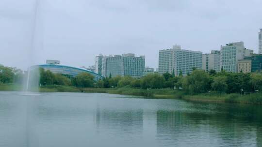 城市湿地公园  公园  湖边公园视频素材模板下载