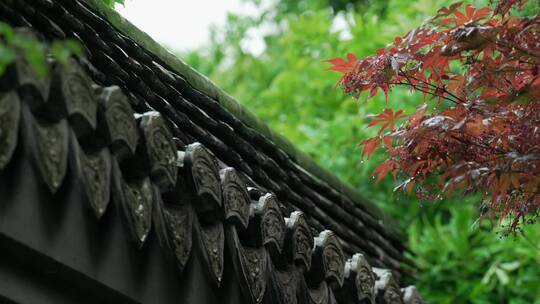 129 杭州 寺庙 古建筑 下雨天 屋檐 树枝
