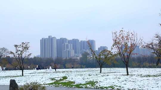 冬天唯美雪景绿叶红花上的雪