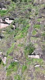 竖屏航拍福建泰宁大金湖丹霞地貌甘露寺