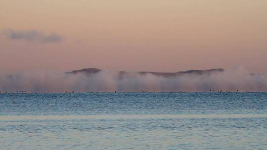 内蒙古赤峰达里诺尔湖清晨水鸟