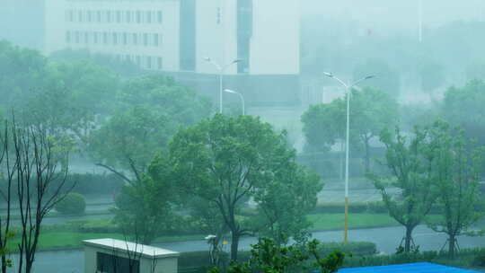 狂风暴雨中的城市街景 绿化植物