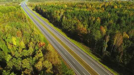 公路运输的卡车树林贯穿森林的道路高速公路