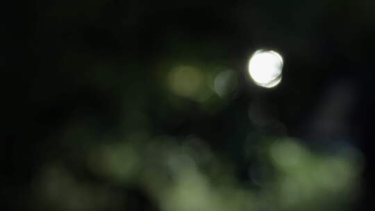 夜晚小区居民楼住宅楼灯光