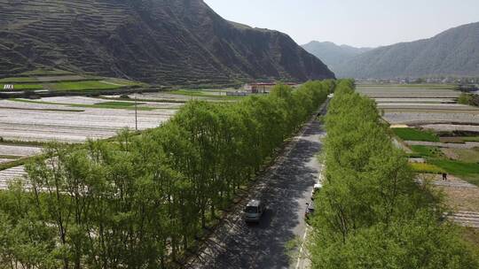 甘南乡间田地航拍