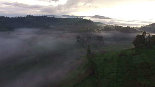 乌干达被薄雾覆盖的村庄鸟瞰图