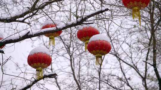 北京北海公园的节日雪景