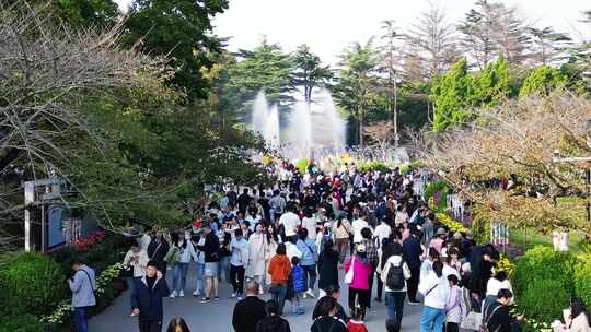 青岛中山公园内人群熙攘场景 青岛菊花展