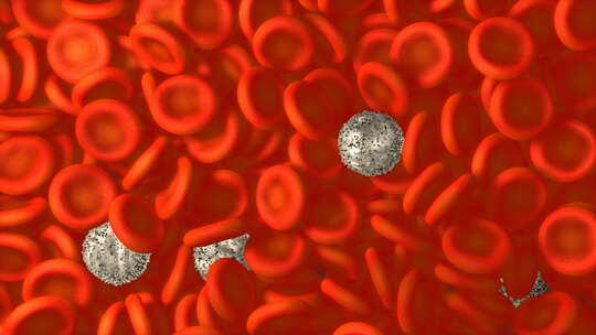 红细胞 病毒3D渲染无缝循环动画
