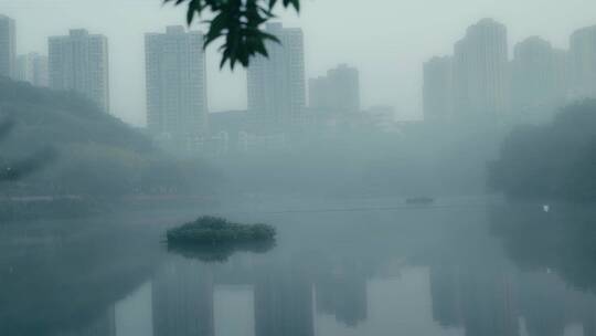 早上晨雾里湖面上飞过鸟儿的倒影