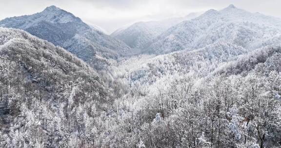 秦岭雪后云海航拍