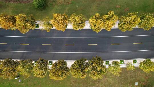 航拍郊区柏油马路