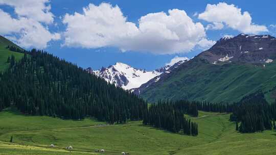 延时内蒙古大草原雪山草地森林自然风景夏天