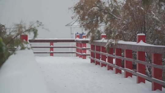 海边下雪