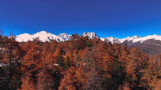 白马雪山