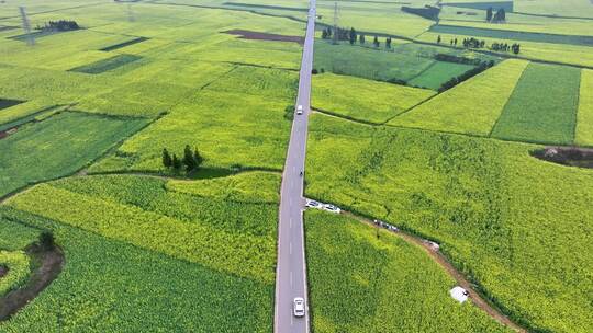 4k航拍乡村花海公路