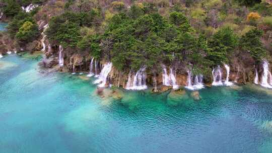 航拍九寨沟树正群海双龙海瀑布彩林钙华彩池