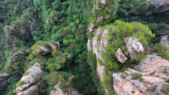 湖南张家界武陵源袁家界地质奇观