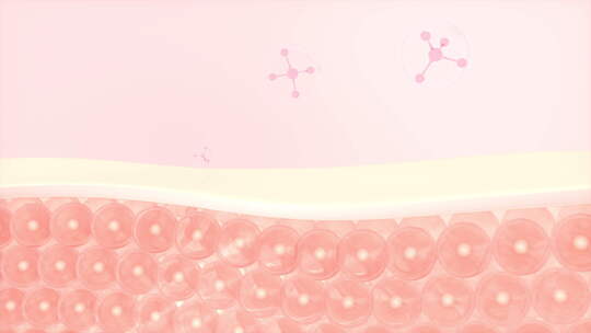 皮肤细胞和分子结构视频素材模板下载