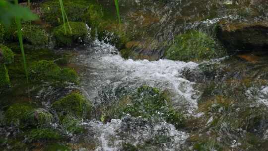 河流水流水生态水源自然水资源