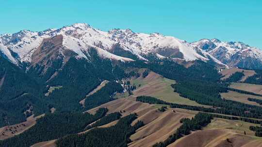 航拍雪山森林