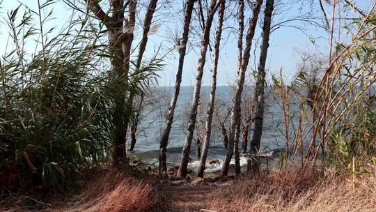 海浪拍打岸边礁石