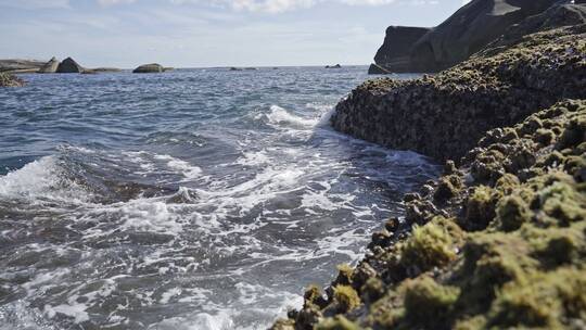 海浪拍打着海岸边的礁石