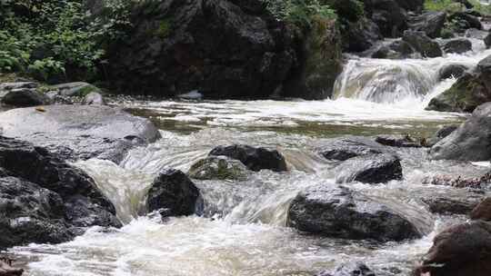 森林中 山泉小溪水