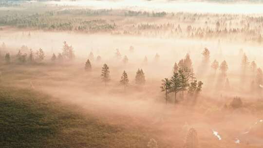 航拍薄雾森林大自然风景