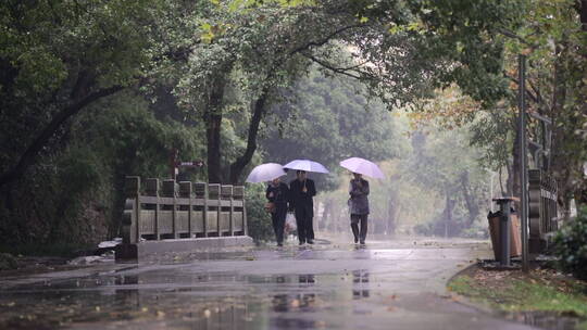 雨中散步的中老年人