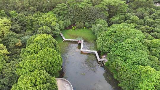 东莞市黄旗山公园航拍