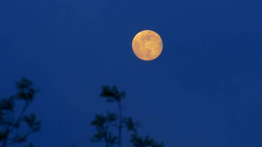 中秋佳节夜晚月亮升起 美丽的月亮