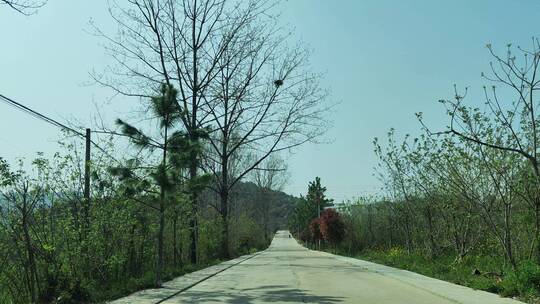 路边风景实拍