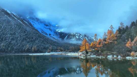 雪山下多彩树林与湖泊相映的美景