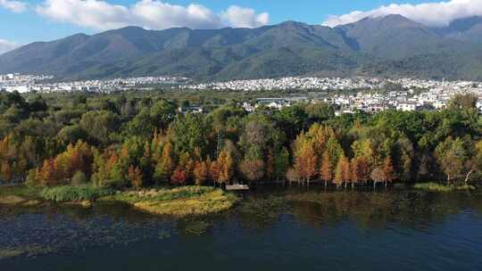 【精品】大理秋天秋景秋色云南洱海湖泊航拍