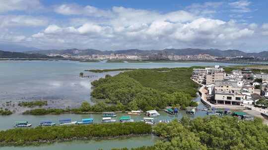 惠州盐洲海洋湿地公园-红树林湿地风光