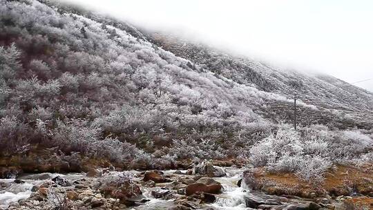 川藏线雪线上的溪流