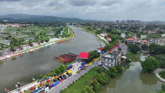 中国江门市鹤山市华侨城古劳水乡赛龙舟