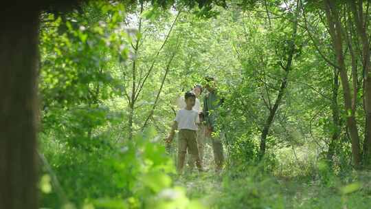 一家四口野外森林徒步登山探险