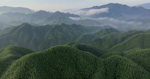 高山竹海云雾云海航拍杭州余杭百丈