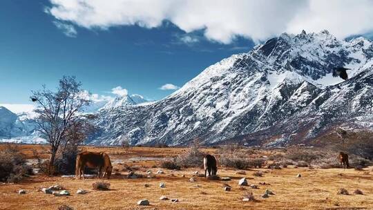 自然风景，唯美意境，治愈系风景，视觉震撼