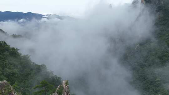 美丽中国河南老界岭自然风光